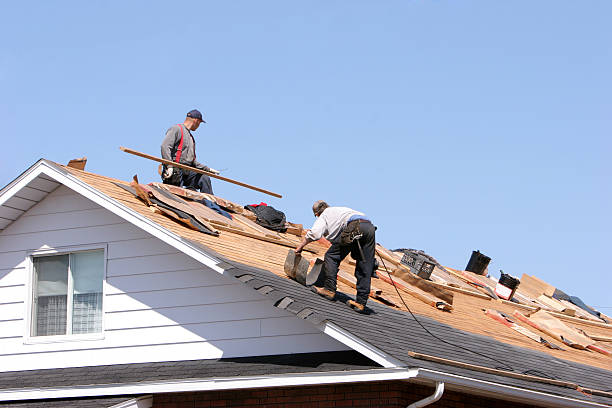 Professional Roofing service in Millington, MI